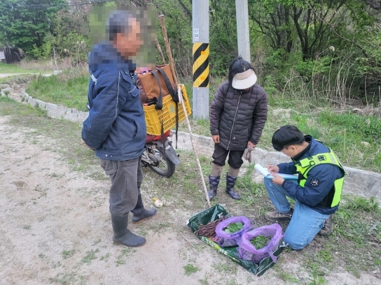 가을철 산림 내 불법행위 특별단속 실시