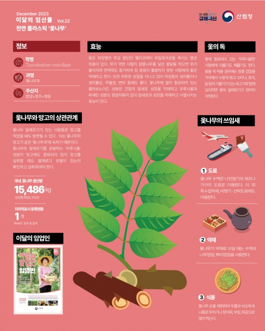 12월 이달의 임산물 ‘옻나무’