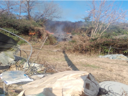 경북 고령산불... 30분 만에 초동 진화완료