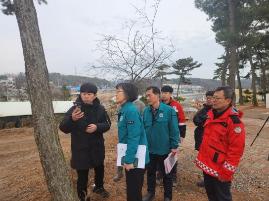 소나무재선충병 확산 방지 총력 대응