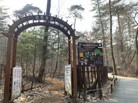 산림청 국립수목원, 광릉숲 정원벨트 비밀의 숲 ‘오솔길’ 재개방
