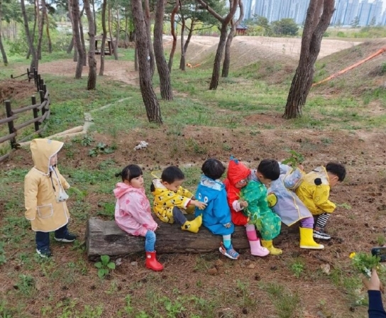 홍성군, 숲 체험 프로그램으로 아이와 함께 힐링하세요~