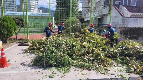 산림청 양산국유림관리소, 산림 재능 기부문화 활성화를 위한 ‘학교숲가꾸기 운동’ 추진