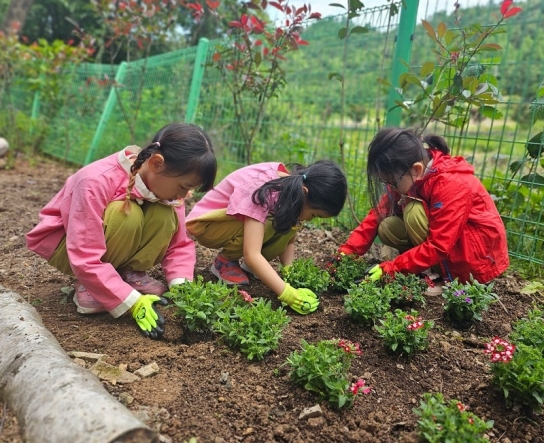 영암국유림관리소, 경관숲 조성 행사