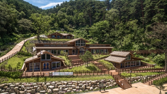 국립대관령치유의숲, 2024 세계산림치유포럼 사전행사 운영