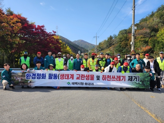 태백시, 대규모 환경 정화활동 실시