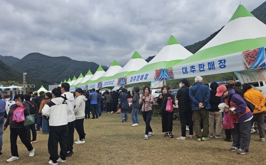 제15회 밀양대추축제에 3000여 명 참가해 성황