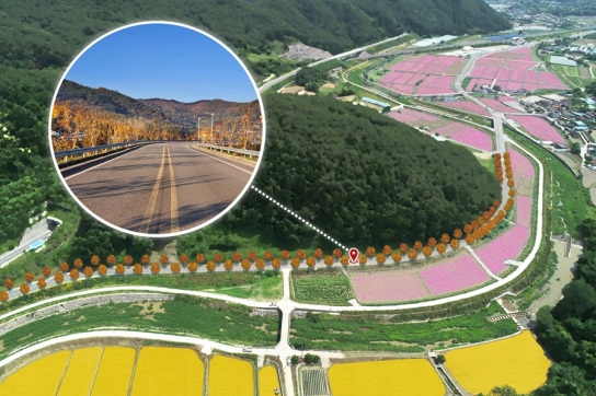 하동군, 북천면에“알록달록 매력있는” 명품 가로수길 조성