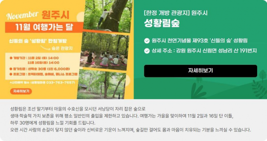 원주시, 11월 여행가는 달 ‘치악산 성황림’ 한정 개방