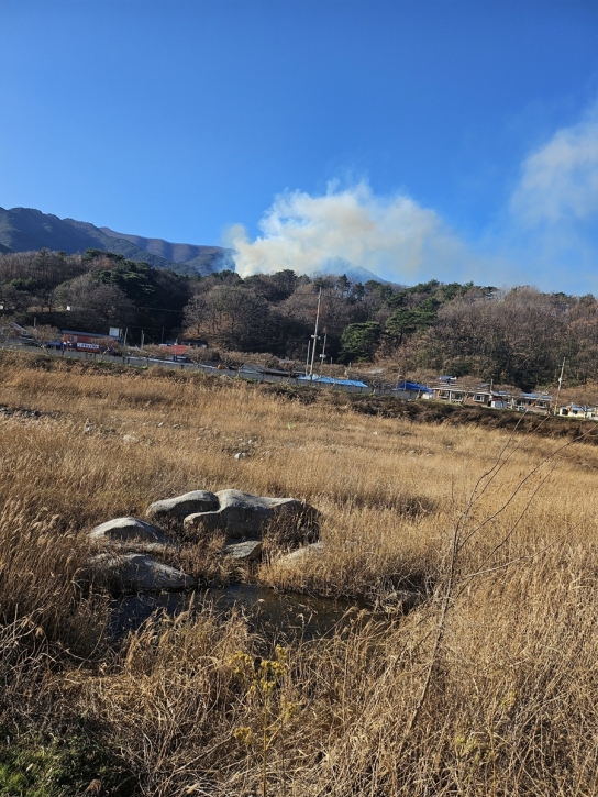 경상북도 울진군 산불... 진화완료