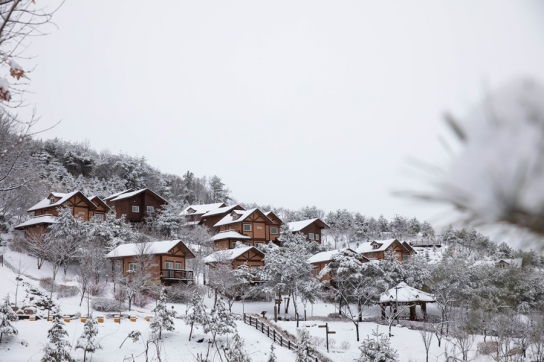 국립산림복지지설, 문자 안내 서비스로 편리하고 안전하게 이용하세요!
