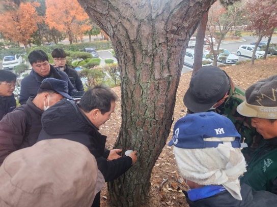 한국임업진흥원-계명대학교 소나무재선충병 관리 협력체계 구축
