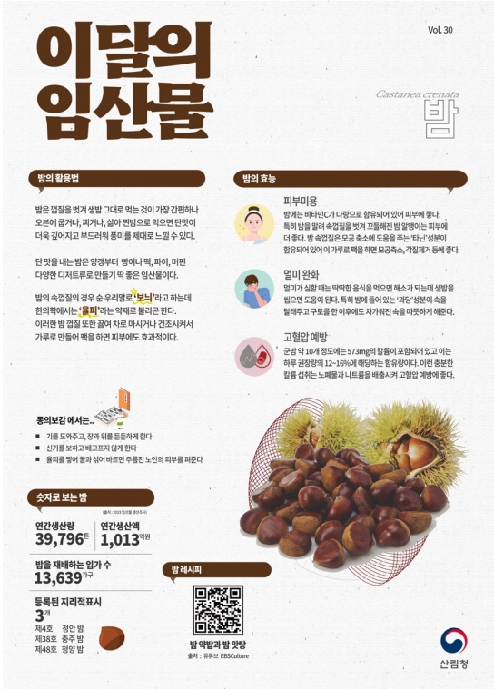 12월 이달의 임산물…긴 겨울밤엔 밤이 딱! 구수한 겨울 진미 ‘밤’