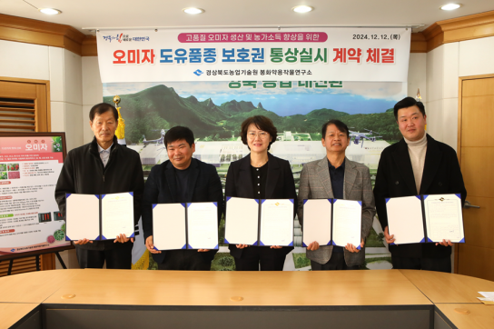 경북도, 오미자 신품종 통상실시로 품종보급 확대