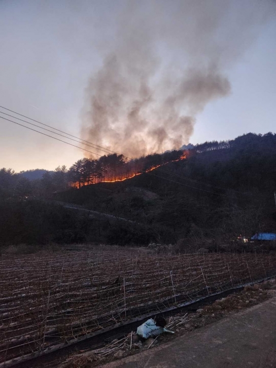 강원특별자치도 삼척시 산불 진화완료