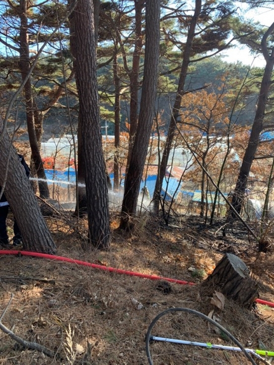 충남 태안 산불발생... 진화완료