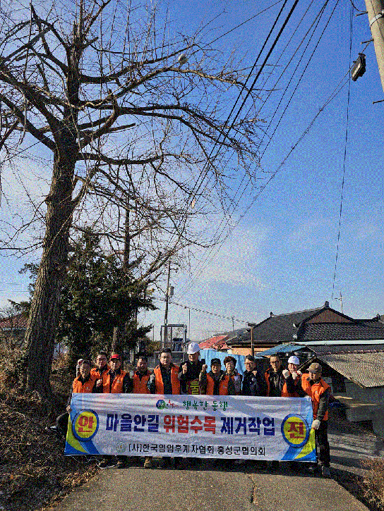 홍성군 임업후계자, 위험수목 제거 봉사활동 나서