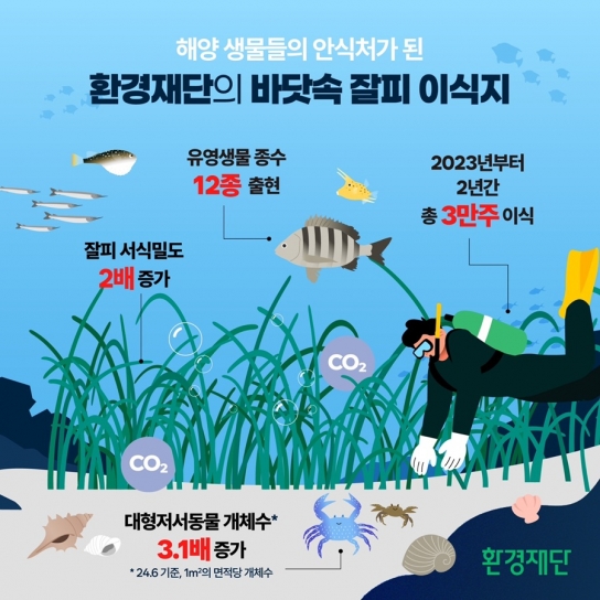환경재단, ‘잘피숲’ 조성으로 해양 생태계 복원 효과 입증