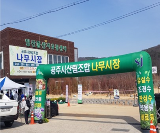 “공주시산림조합, 2025년도 나무전시판매장 개장”