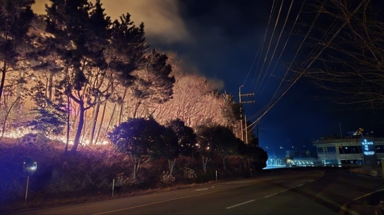 경상남도 거제시 산불.. 진화완료