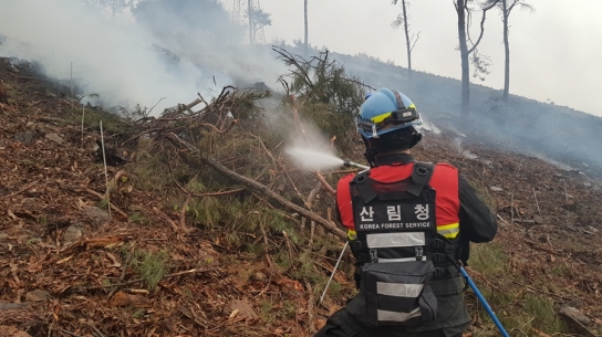 산림당국 충남 공주 산불.. 진화완료