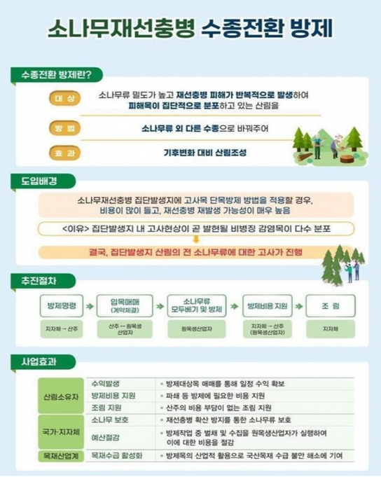 안동시, 소나무재선충병 극복 위한 ‘수종 전환 방제’ 본격 추진
