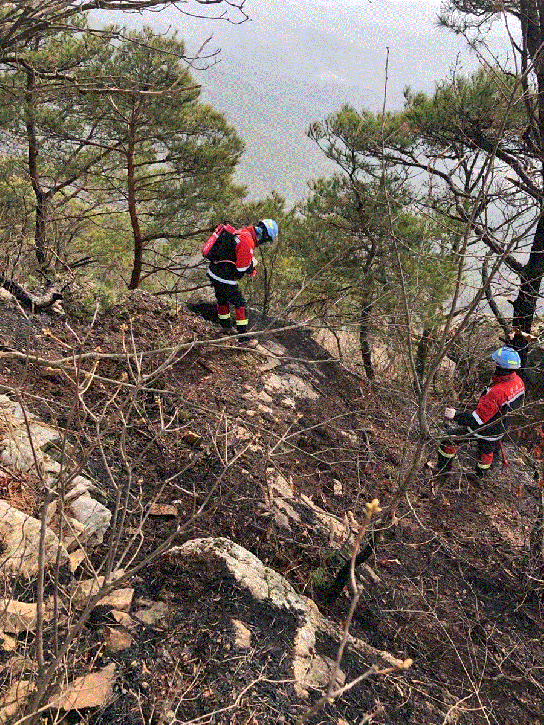 산림당국 경기 화성 산불.. 진화완료