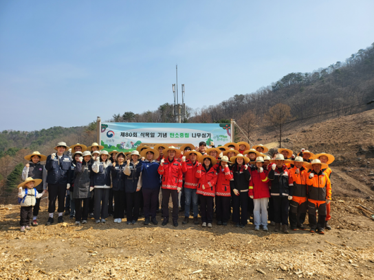 춘천국유림관리소, 티웨이항공과 발산리에서 백합나무 조림