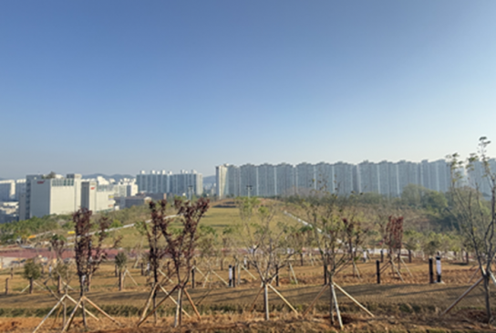 군산 기후대응도시숲‘새들허브숲’모습 드러낸다