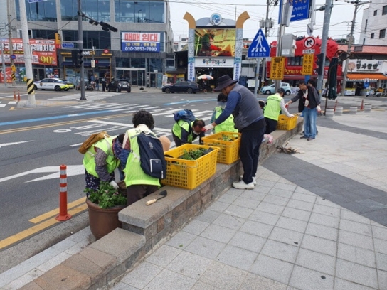 통영시 중앙동, 여름꽃 1차 식재