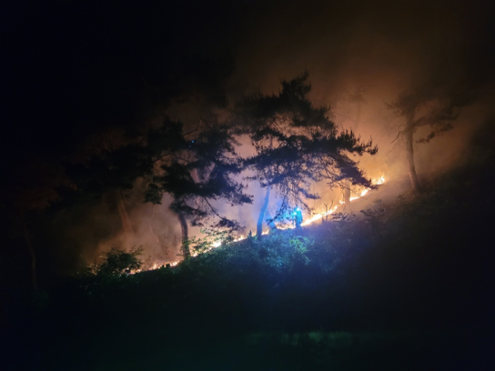 산림당국 충남 천안 산불.. 진화 완료